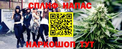 прущие грибы Моздок