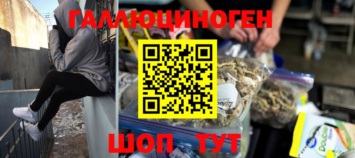 магазин    Псилоцибиновые грибы Psilocybine cubensis  Вход с VPN  Фурманов 